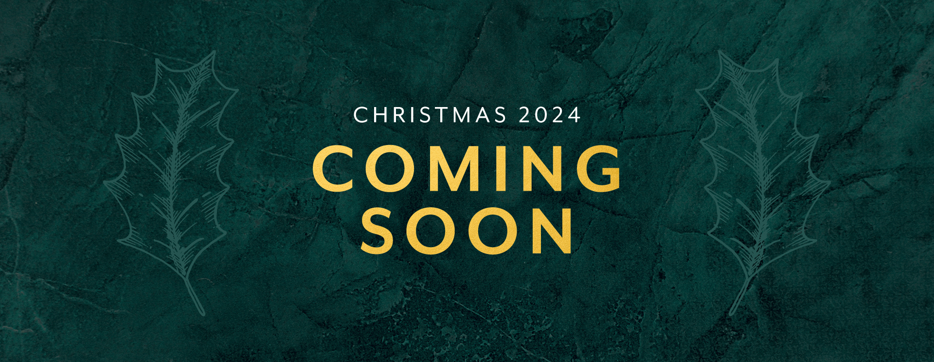 Christmas 2024 at Waltham Cross